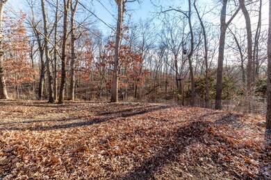 Wooded backyard