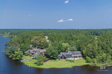 Aerial View from the Lake
