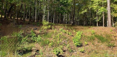 80 Woodhill Trace, Wetumpka, AL 36093 - photo 3