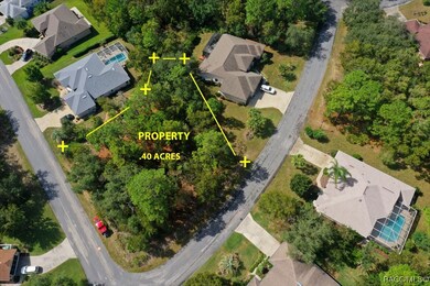 2 Primula Ct W, Homosassa, FL 34446 - photo 4