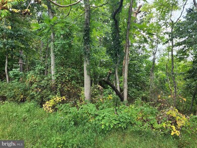 0 N Laurel Avenue - Lot 38 unit WVMO2002220, Berkeley Springs, WV 25411 - photo 2