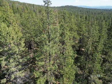 0 Sandpiper Dr unit 3007715, Beatty, OR 97621 - photo 6