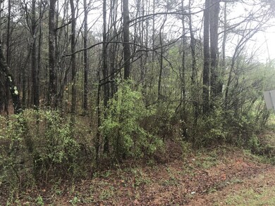 0 Trion Hwy unit RTC2805009, Lafayette, GA 30728 - photo 3