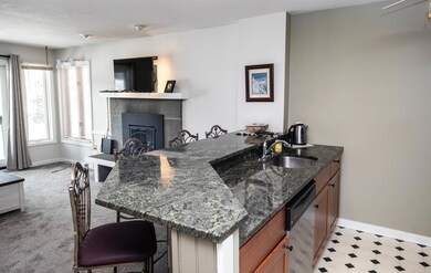 109 Okemo Ridge Rd unit C206, Ludlow, VT 05149 - photo 6