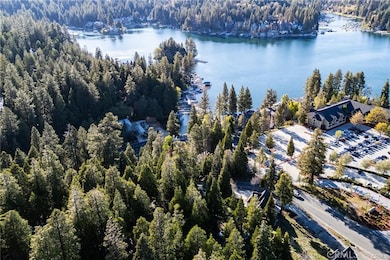 0 0 S459-C Dock unit HD25244848, Lake Arrowhead, CA 92395 - photo 5