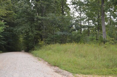 0 Mathis Cemetery Rd unit 2187275, Stewart, TN 37175 - photo 3