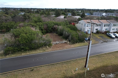 942 Ocean Shores Blvd SW, Ocean Shores, WA 98569 - photo 4