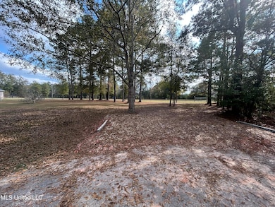 119 Oak Allee Dr, Picayune, MS 39466 - photo 3