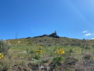 0 NNA Hannah Rd unit 19, Pateros, WA 98846 - photo 6