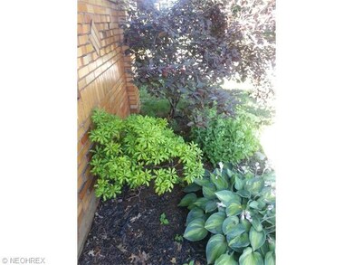 Professionally landscaped yard