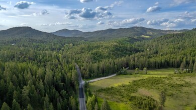 00 Buck Creek Rd, Loon Lake, WA 99148 - photo 4