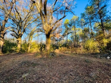 TBD Dinan Salem Rd, Tylertown, MS 39667 - photo 3