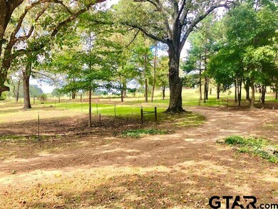 21061 Apache Rd, Tyler, TX 75705 - photo 4