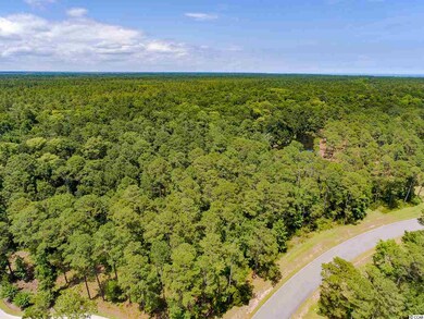 Lot 146 Ocean Lakes Loop unit Prince George, Pawleys Island, SC 29585 - photo 6