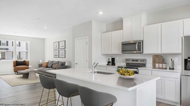 771 Mulligan Ct, Cassville, WV 26541 - photo 4