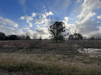 6130 Wood Duck Ln, Rosenberg, TX 77471 - photo 3