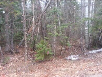 Lot 15 Judges, Thornton, NH 03223 - photo 3