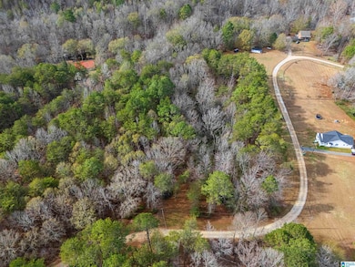 Lot 12 County Road 219, Piedmont, AL 36272 - photo 7