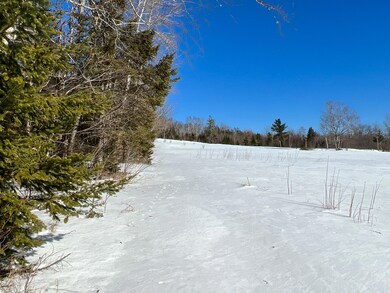Five acres of open pasture land