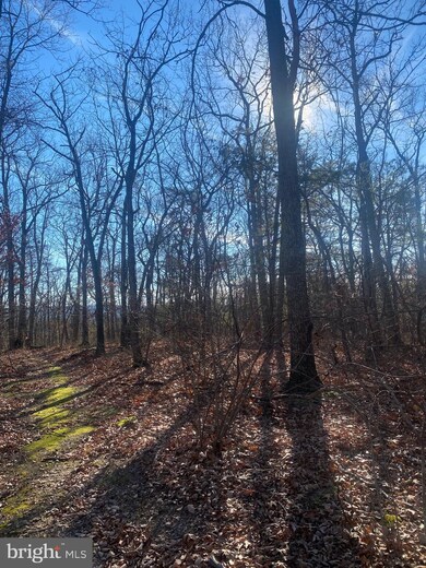 0 Parsons Rd unit WVBE2004770, Hedgesville, WV 25427 - photo 6