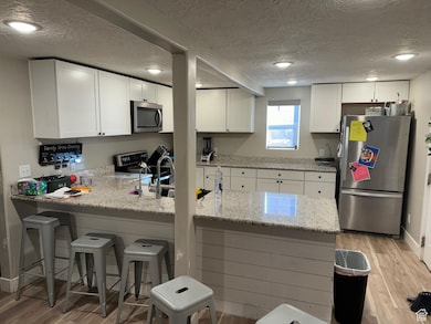 9888 Utah 28, Levan, UT 84639 - photo 4