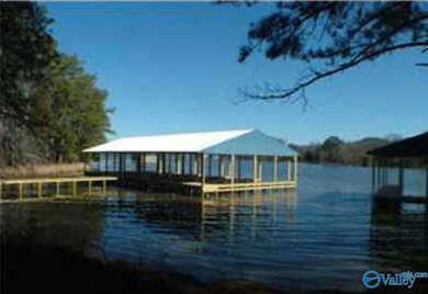 480 John Cabaniss Rd, Langston, AL 35755 - photo 5