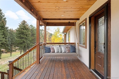 10248 S Turkey Creek Rd, Morrison, CO 80465 - photo 3