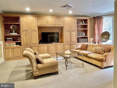 1781 Chain Bridge Rd unit 206, McLean, VA 22102 - photo 7