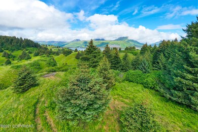 5986 Cliff Point Rd, Kodiak, AK 99615 - photo 5