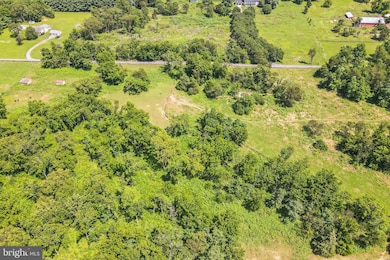 1683 Withers Larue Rd, Berryville, VA 22611 - photo 5