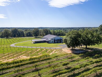 207 Wolf Creek Dr, Americus, GA 31719 - photo 7