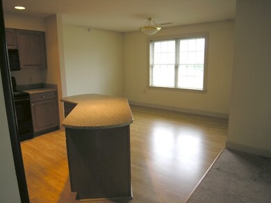 1 Abbott Ln unit 4, Concord, MA 01742 - photo 4
