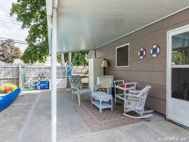Backyard.