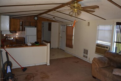 Living/Kitchen Area