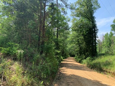 . Athens Trail Ne Timberlane Rd NE, Wesson, MS 39191 - photo 5