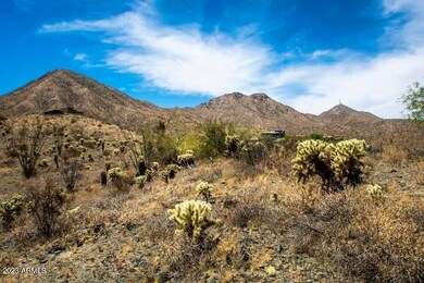 McDowell Mountains