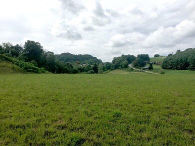 0 Old Galax Pike unit 7331697, Hillsville, VA 24343 - photo 6