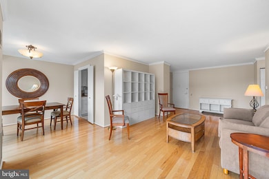 1326 Spruce St unit 1701, Philadelphia, PA 19107 - photo 6