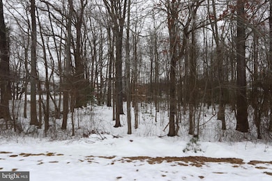 0 Beech Ln unit PARCEL 27, Accokeek, MD 20607 - photo 7