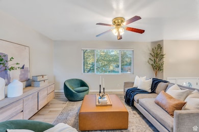 Windows look out onto quiet tree-lined street