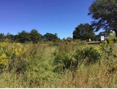 0 Paynes Lake Rd unit 7339831, Carrollton, GA 30116 - photo 2