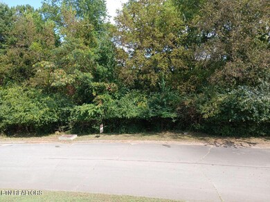 161 Trail View Dr, Loudon, TN 37774 - photo 2