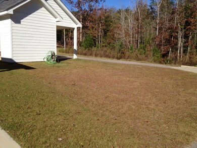 Back yard