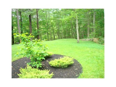 Yard/Garden.