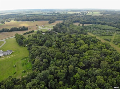 9758 E Richview Rd, Mount Vernon, IL 62864 - photo 7