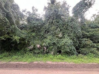 915 Annette Ave, Interlachen, FL 32148 - photo 5