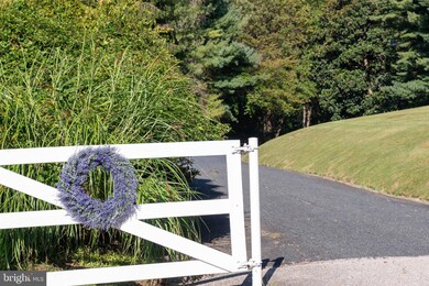 8555 Hill Spring Dr, Lutherville Timonium, MD 21093 - photo 4