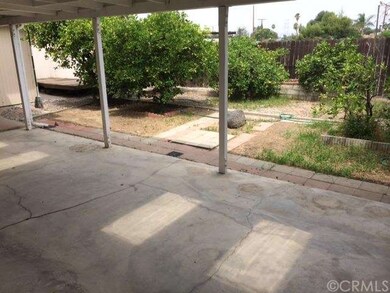 Mature Citrus Trees and Lots of Privacy