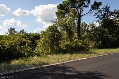 6017 Paula Ave N, Lehigh Acres, FL 33971 - photo 3