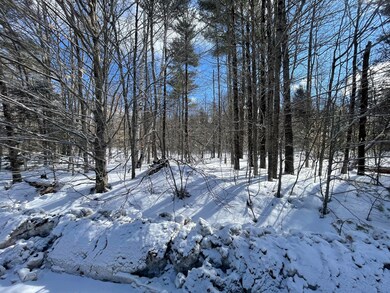 IMG_7071(1)